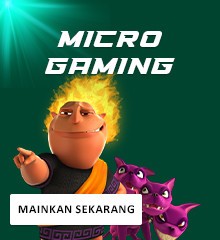 Micro Gaming